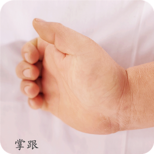 掌根法